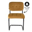 KICK IVY Tubular Frame Chair - Gold
